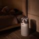 Очиститель воздуха Dyson HJ10 Белый | Серебристый 6878020 фото 5