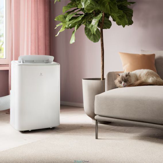Aer conditionat mobil Electrolux EXP26U339HW 9000BTU ID999MARKET_6308701 foto